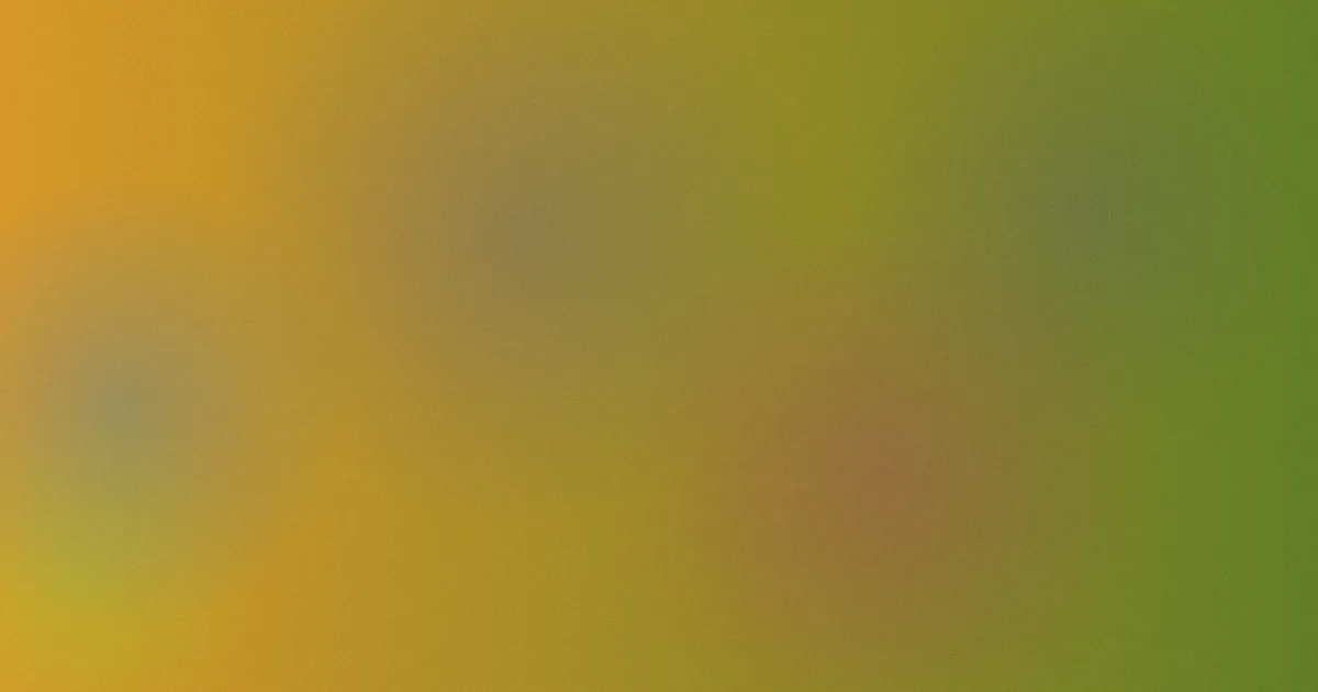 Mignon怎么用：我连看两遍后的观看方法